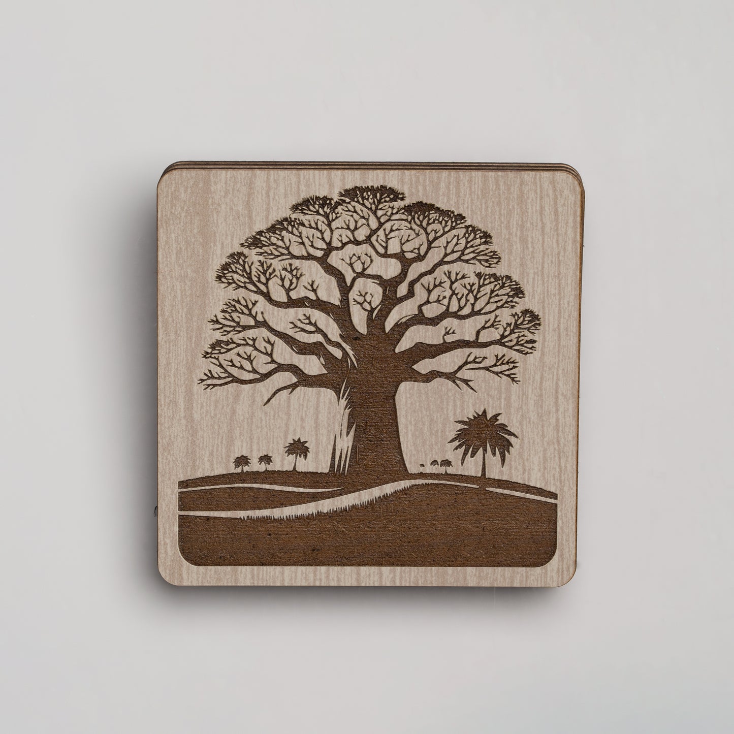 ZAIBA Home MBUYU Light Square | 6PC WOODEN COASTERS